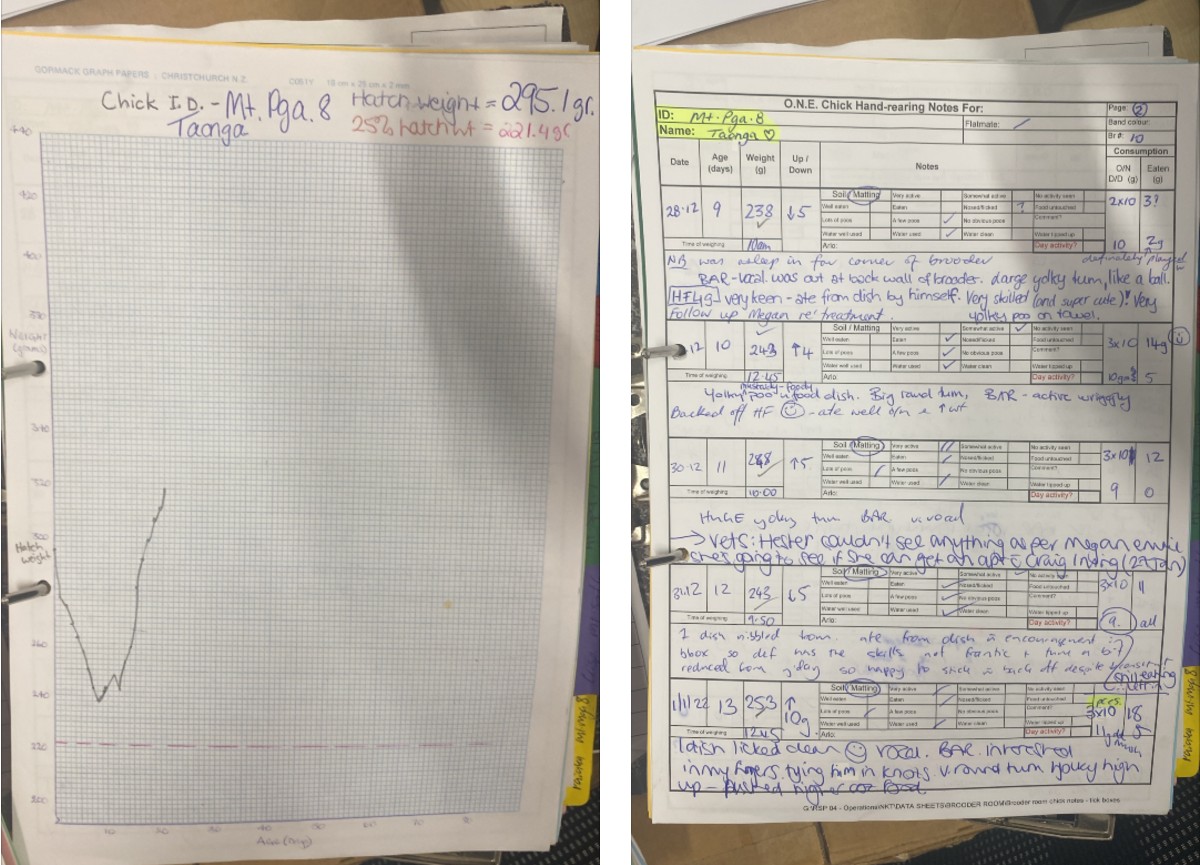 Taonga notes shared